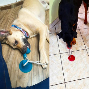 Pet teething toys