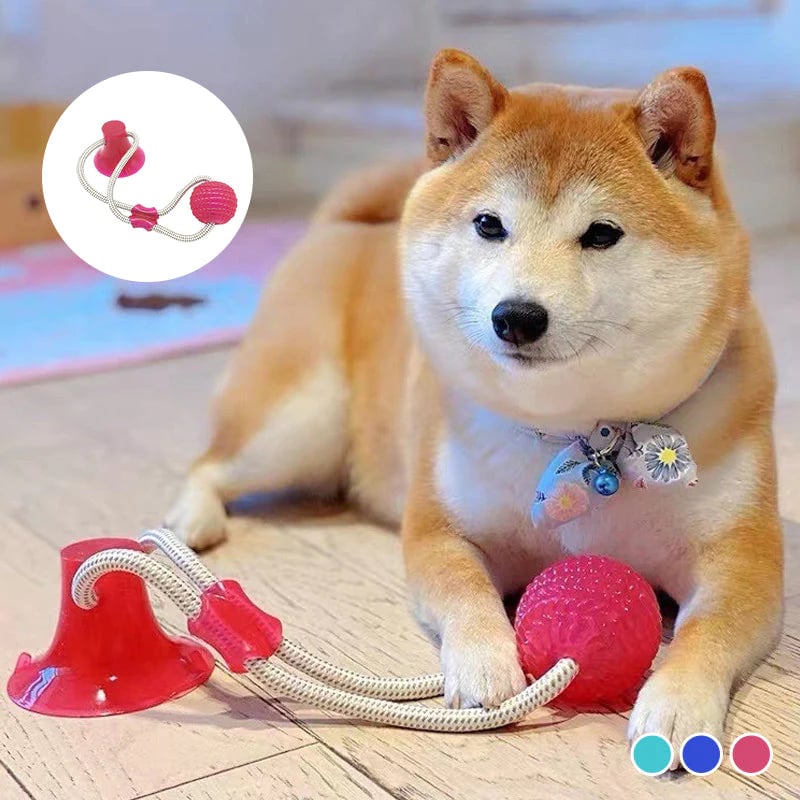 Pet teething toys