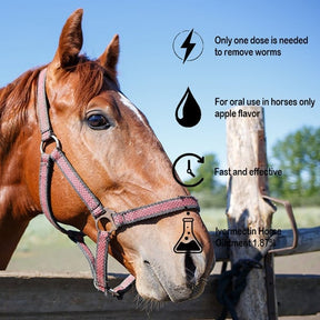 🔥Last Day 49% OFF - ivermectin Horse Paste 1.87% 6.08g Tubes