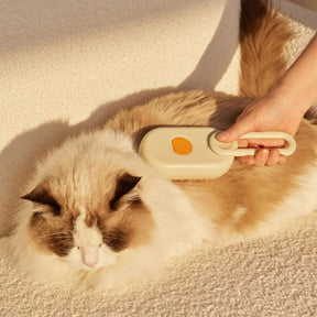 PuffEase Cat Steam Brush