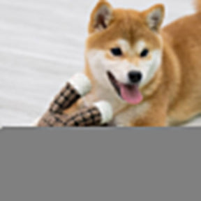 PLUSH TOY FOR AGGRESSIVE CHEWERS